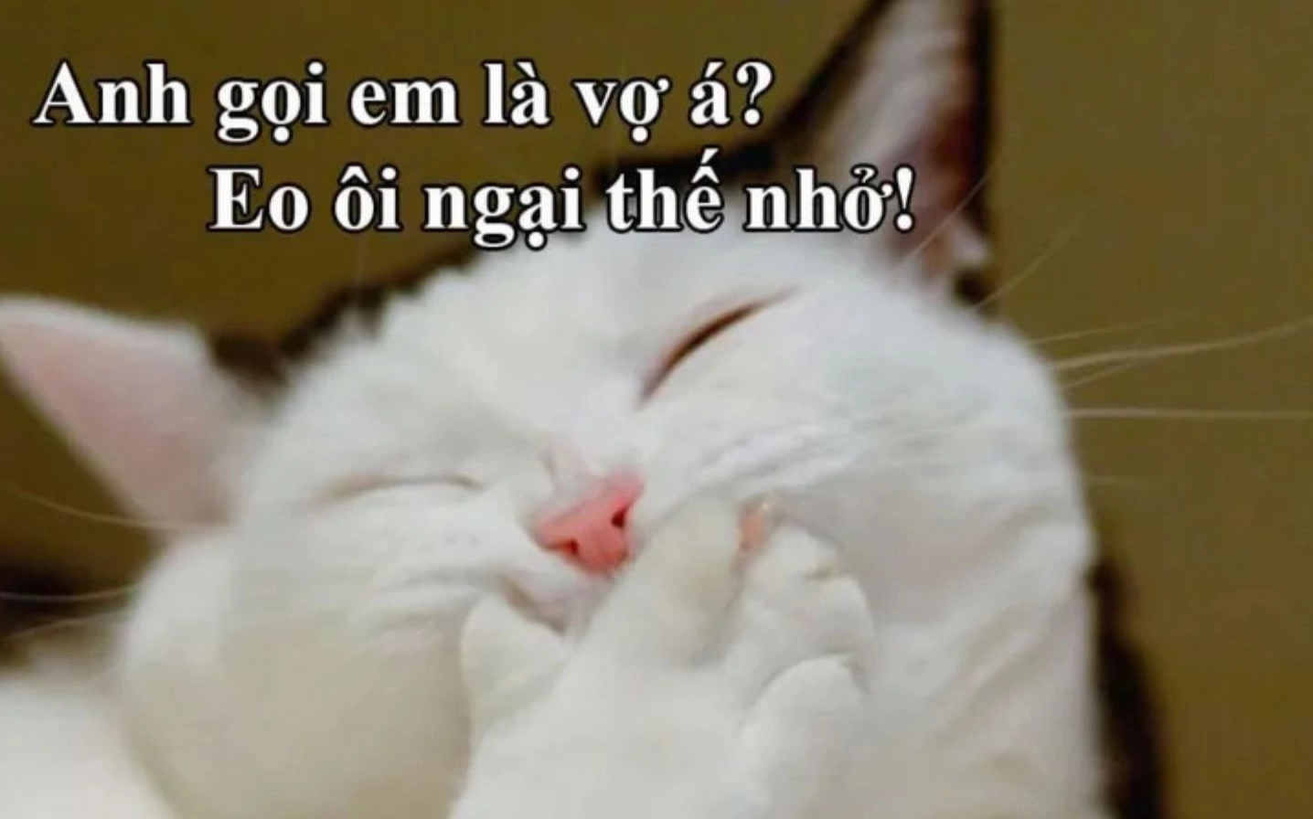 meme tấu hài facebook gãi đầu