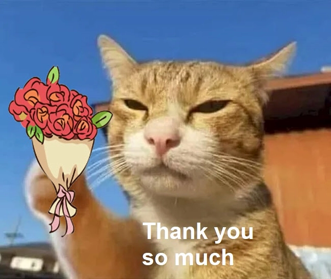 Meme thank you nà nũng nịu