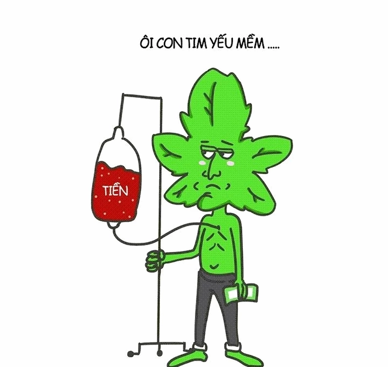 Meme tiền đây thú vị