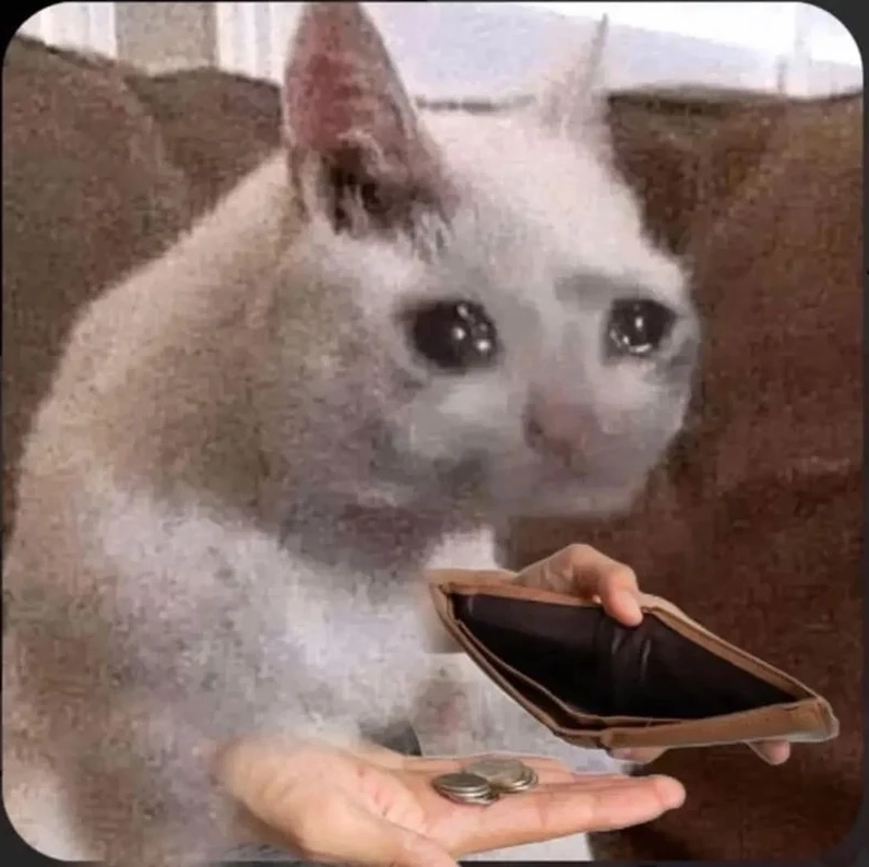 Meme tiền nè vui vẻ