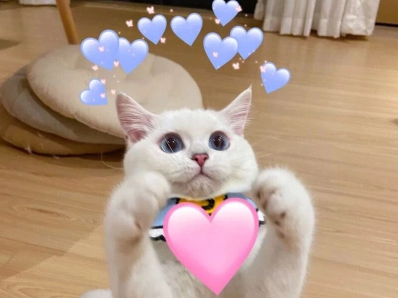 Meme Tình Yêu Dễ Thương ngủ ngon