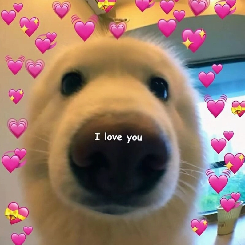 meme tình yêu mang ý nghĩa sâu sắc