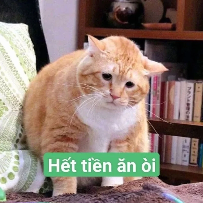 Meme ví hết tiền bối rối
