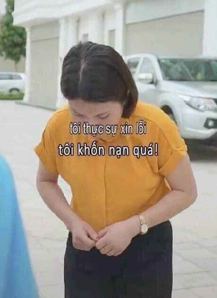 meme xin loi 13