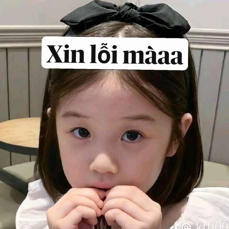 meme xin loi 9