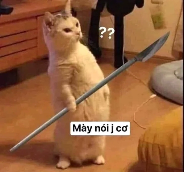 Mèo cầm dao me me