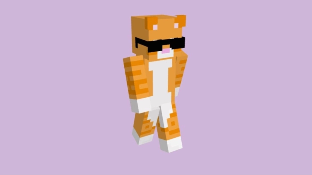 Mèo hoá thân pixel cùng cat minecraft meme siêu cute