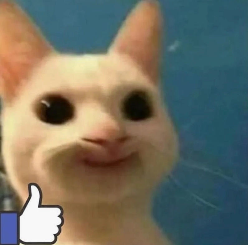mèo ok meme chất lừ