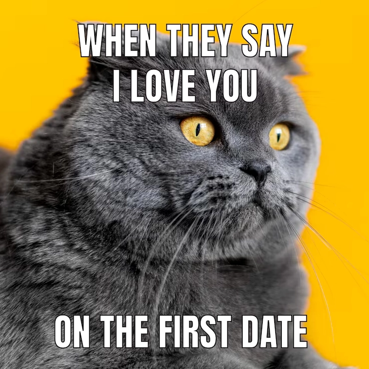 Miễn phí Vector meme hài hước xin đừng động vật