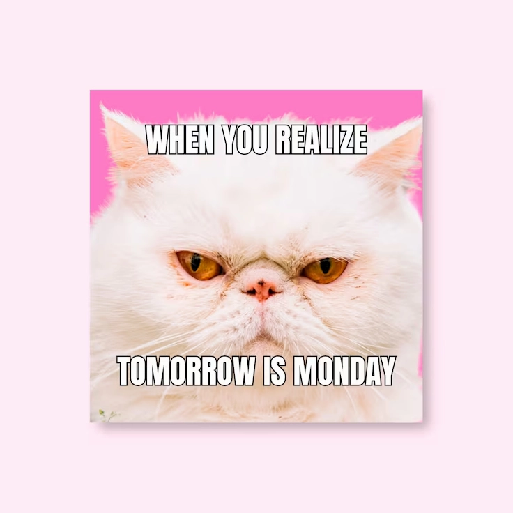 Miễn phí Vector meme hình vuông mèo buồn đơn giản