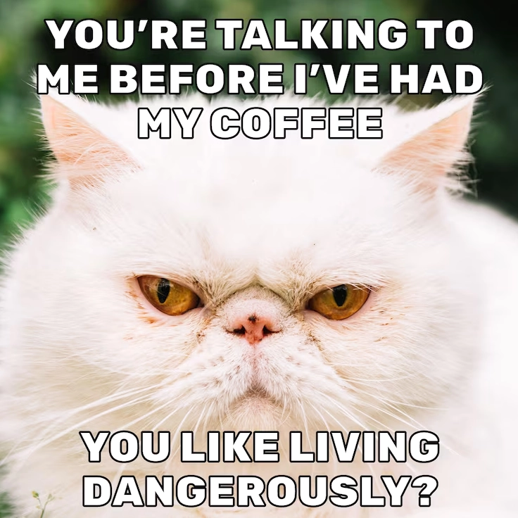 Miễn phí Vector meme kịch tính cà phê