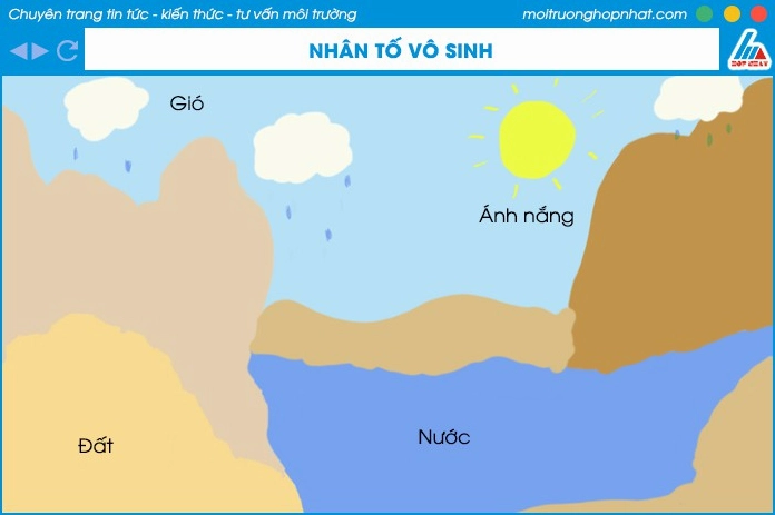 Minh họa các nhân tố sinh thái vô sinh trong môi trường tự nhiên