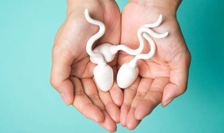 Minh họa giải đáp thắc mắc y khoa về việc thực hiện cia có thể dẫn đến mang thai hay không