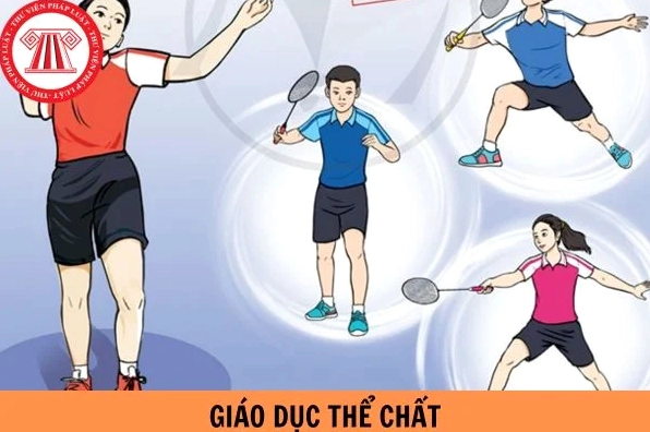 Minh họa khái niệm giáo dục thể chất là gì và vai trò bắt buộc trong học đường