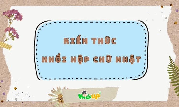 Minh họa khối hộp chữ nhật cơ bản