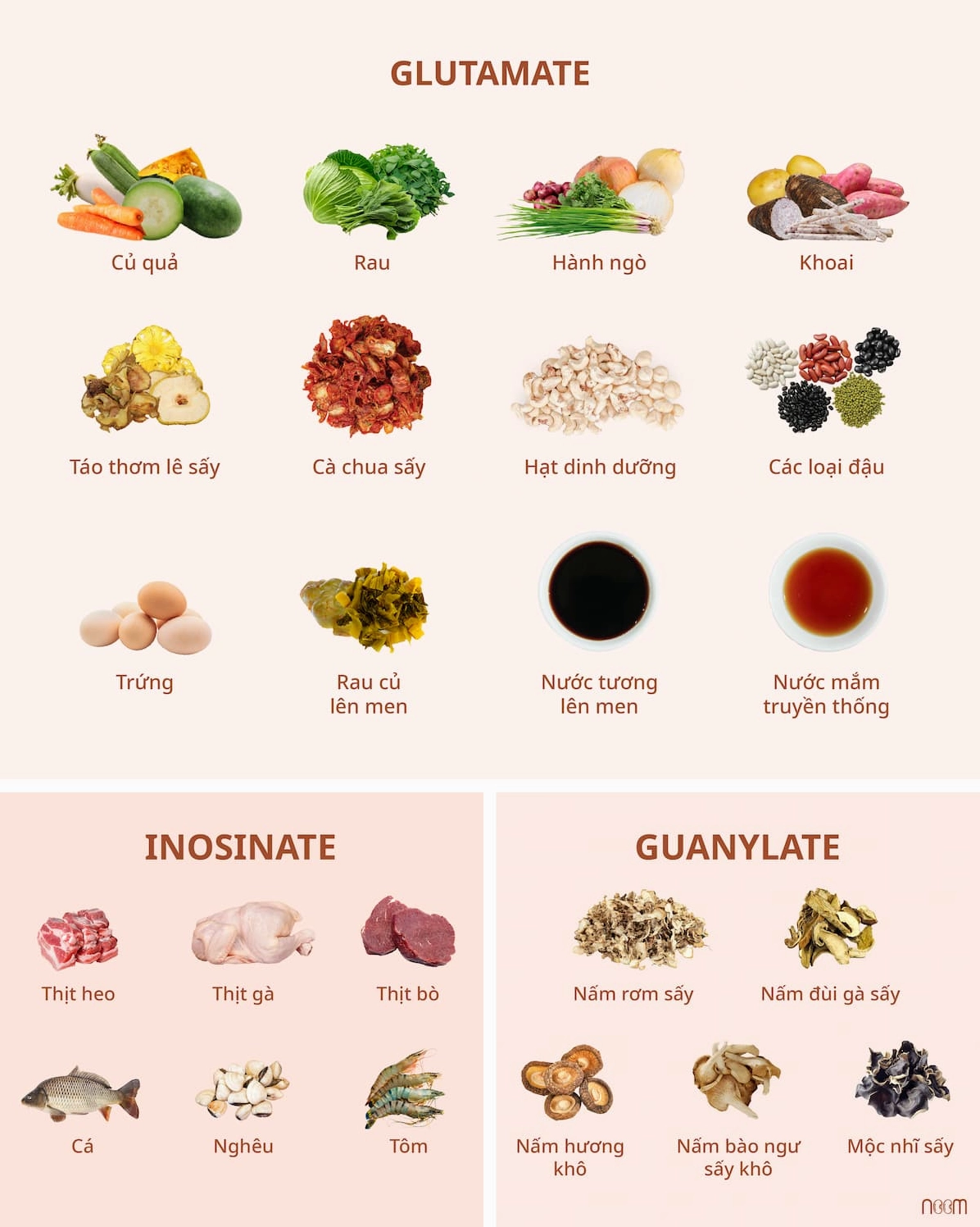 Minh họa vi umami la gi