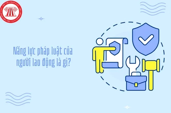 Năng lực pháp luật và trách nhiệm của người lao động