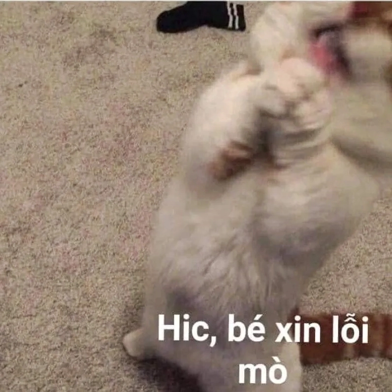 Nếu em sai thì đây là em xin lỗi meme