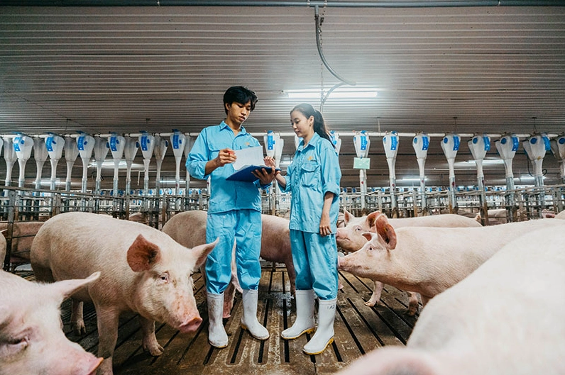 Nghị định hướng dẫn chăn nuôi phần 3