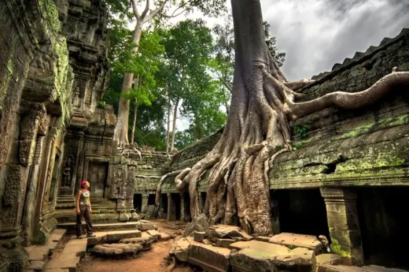 Ngôi đền Ta Prohm và câu chuyện về sự ngự trị của những rễ cây bí ẩn kỳ dị
