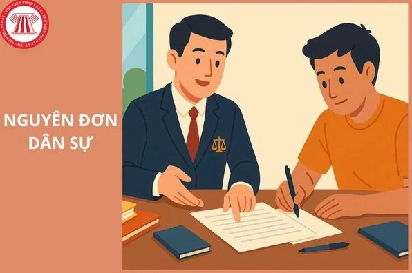 Nguyên đơn dân sự là gì và quyền nghĩa vụ liên quan