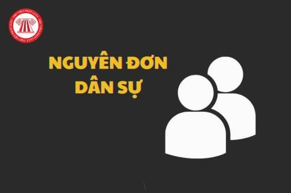 Nguyên đơn trong vụ án dân sự là ai và quyền lựa chọn Tòa án