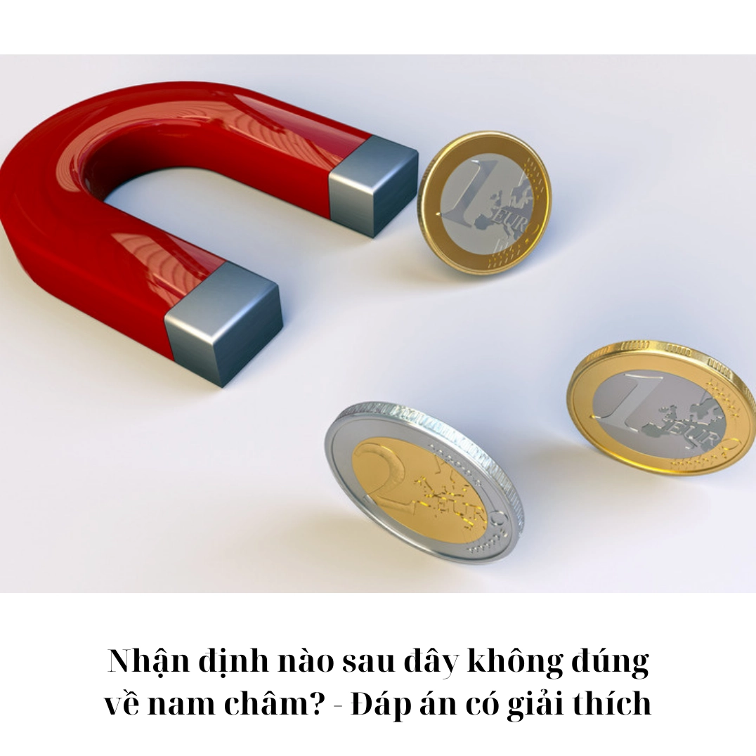 Nhận định nào sau đây không đúng về nam châm