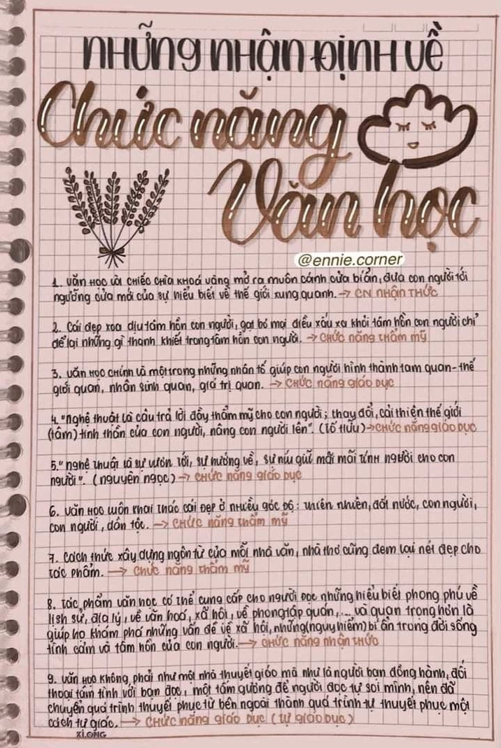 Nhận định về chức năng văn học