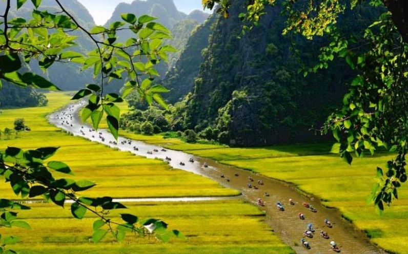 Nhân hóa là gì tác dụng ví dụ về biện pháp nhân hóa 5