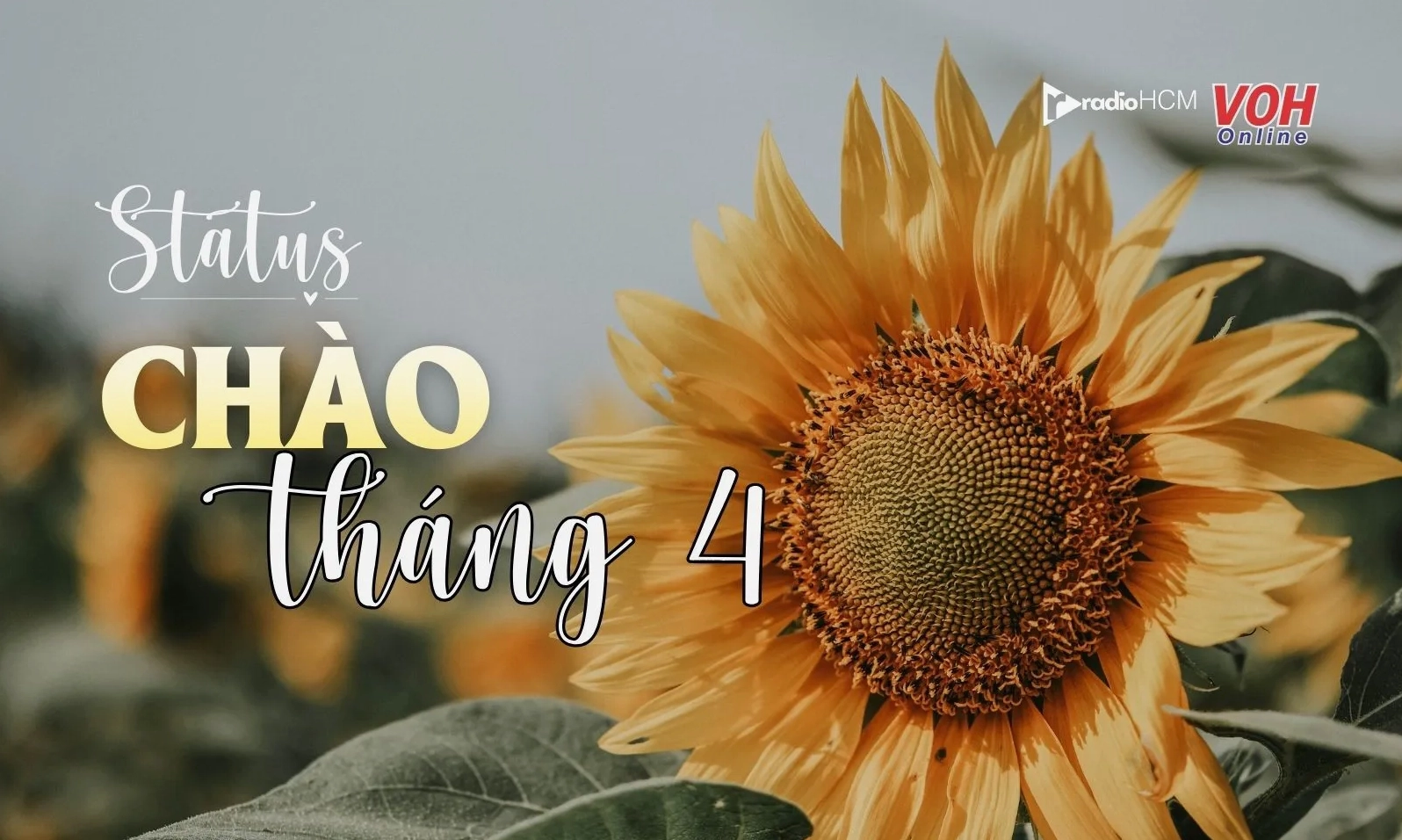 Những câu nói nhẹ nhàng chào đón tháng mới