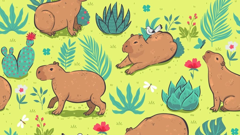 Những chú capybara hoạt hình thong dong đi dạo