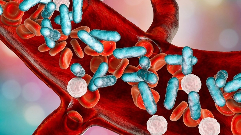 Những điểm khác nhau giữa vi khuẩn gram âm và vi khuẩn gram dương 2