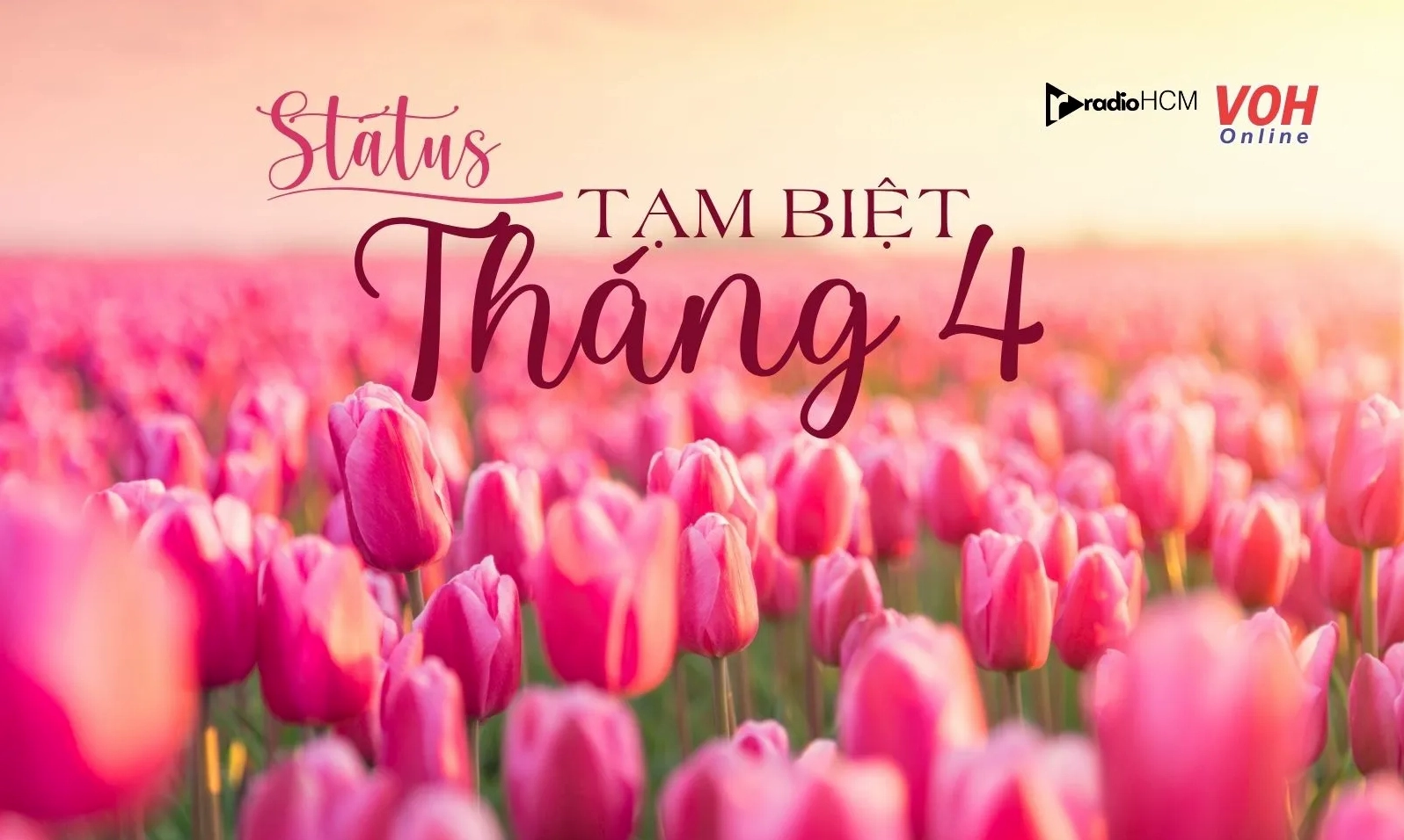 Những dòng trạng thái thả thính trên mạng xã hội thường được gọi là tung hint