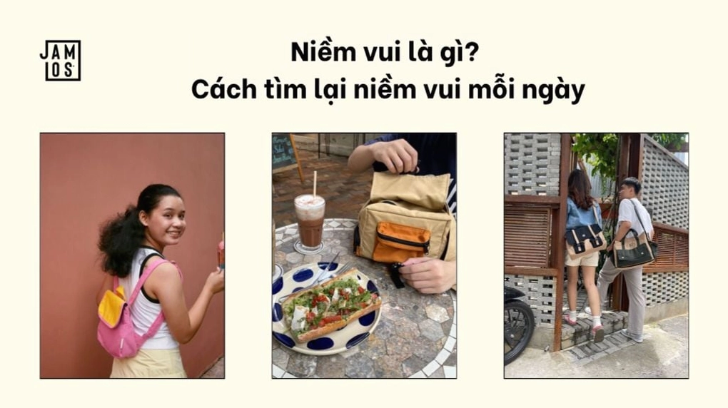 Niềm vui là gì