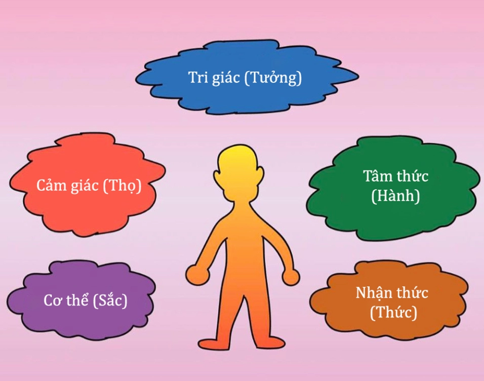 Nói đến con người là nói đến ngũ uẩn gồm sắc thọ tưởng hành thức theo quan điểm Phật giáo