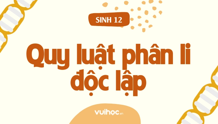 Nội dung chi tiết của quy luật phân li độc lập