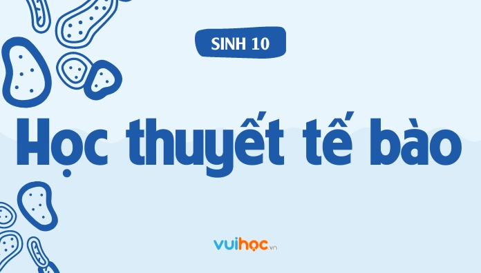 Nội dung cốt lõi của học thuyết tế bào