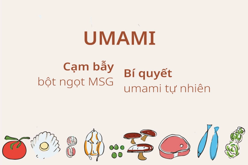 Noom.Umami .web .1 1