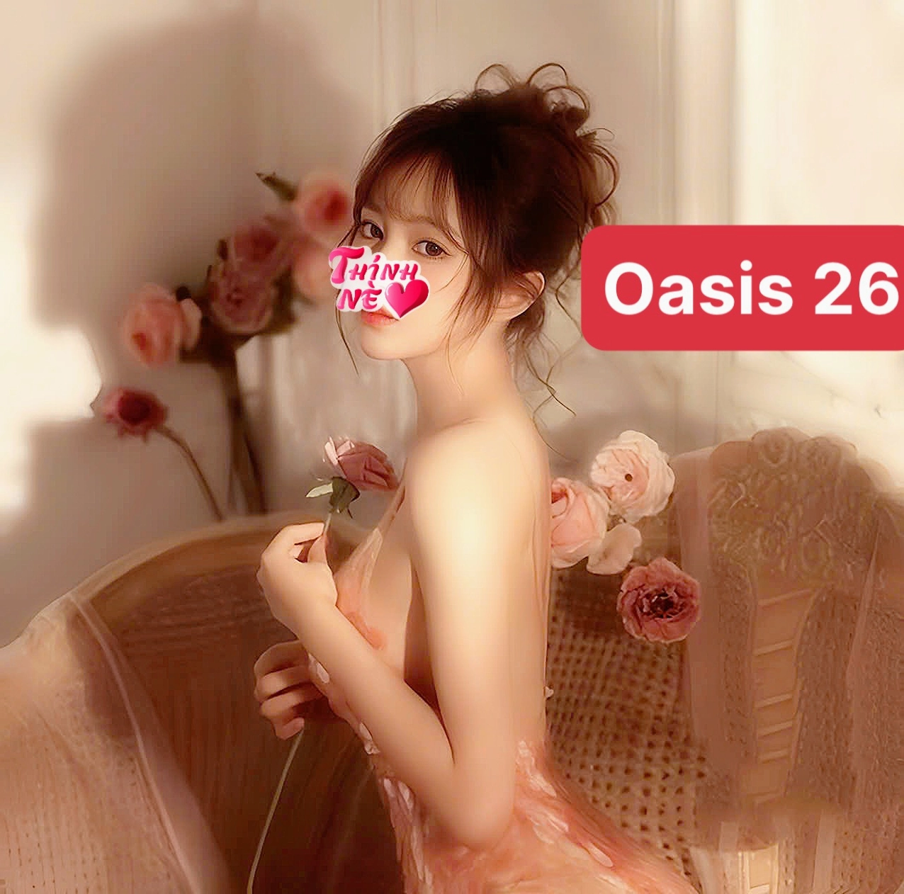 Oasis 26