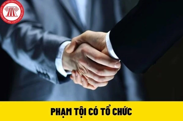 Phạm tội có tổ chức là gì theo quy định pháp luật