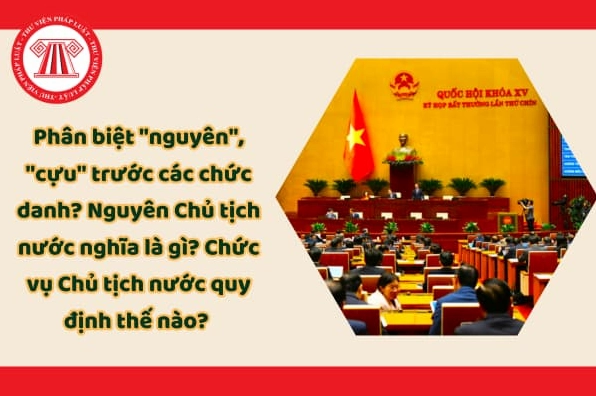 Phân biệt nguyên và cựu trước các chức danh Nguyên Chủ tịch nước nghĩa là gì Chức vụ Chủ tịch nước quy định thế nào