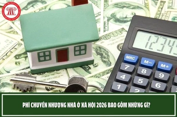 Pháp luật