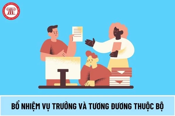 Quy định bổ nhiệm Vụ trưởng và tương đương thuộc Bộ