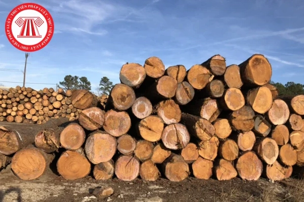 Quy định về thuế suất đối với mặt hàng gỗ sơ chế thông thường