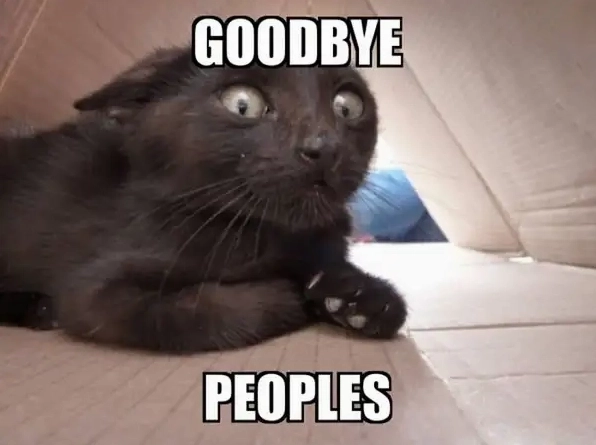 Rớt nước mắt vì cười với loạt hình ảnh tạm biệt hài hước