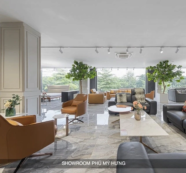 Showroom nội thất Cozy Living áp dụng nhân trắc học