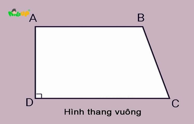 Sơ đồ biểu diễn các tính chất đặc trưng của hình thang vuông