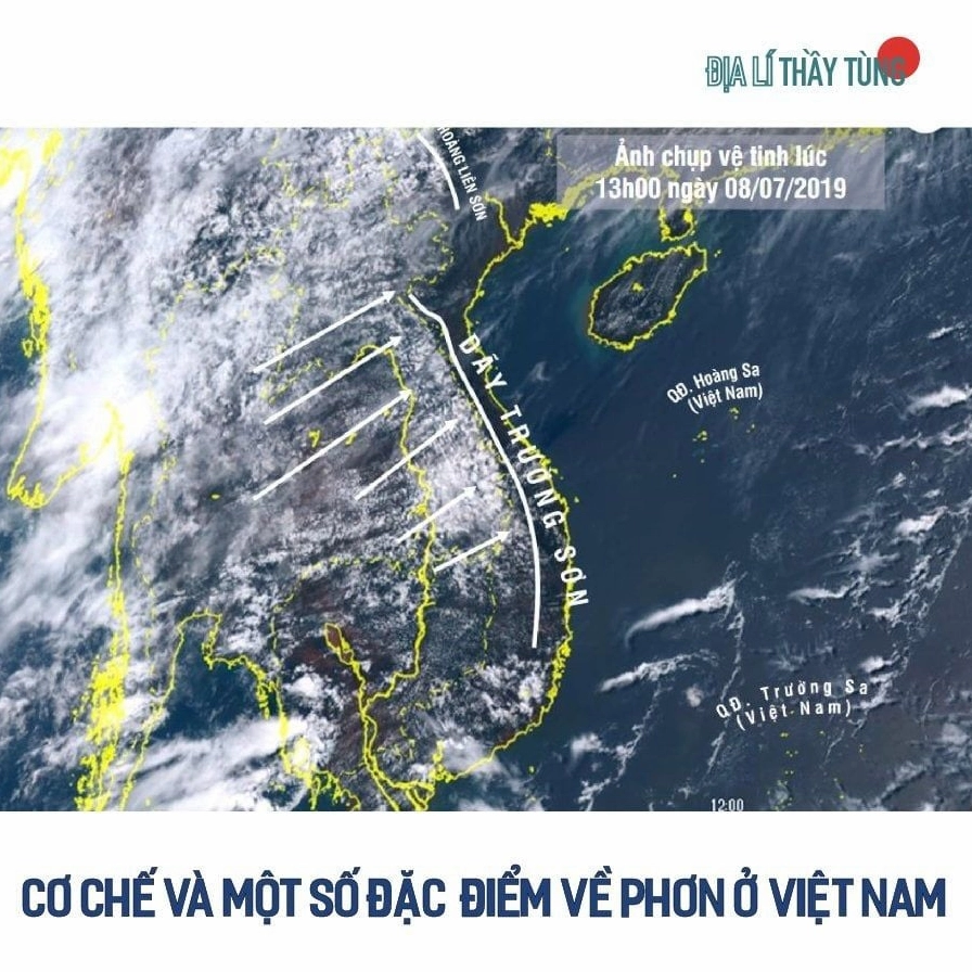 Sơ đồ cơ chế và một số đặc điểm về phơn ở Việt Nam