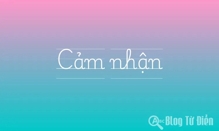 Sơ đồ minh họa khái quát quá trình hình thành cảm nhận trong não bộ