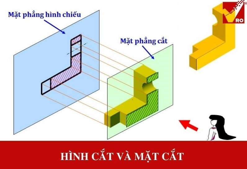 So sánh sự khác biệt giữa hình cắt và mặt cắt trong môn công nghệ